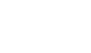 Ride-on Power Trowel